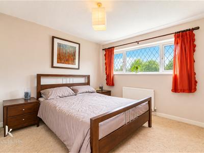Picture 8